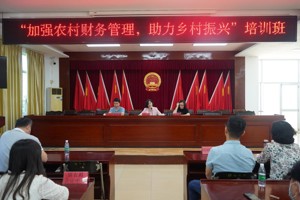 加强农村财务管理，汕尾助力乡村振兴