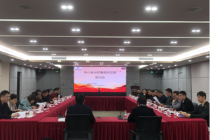 广东省注协品牌建设委员会召开中小会计师事务所发展研讨会