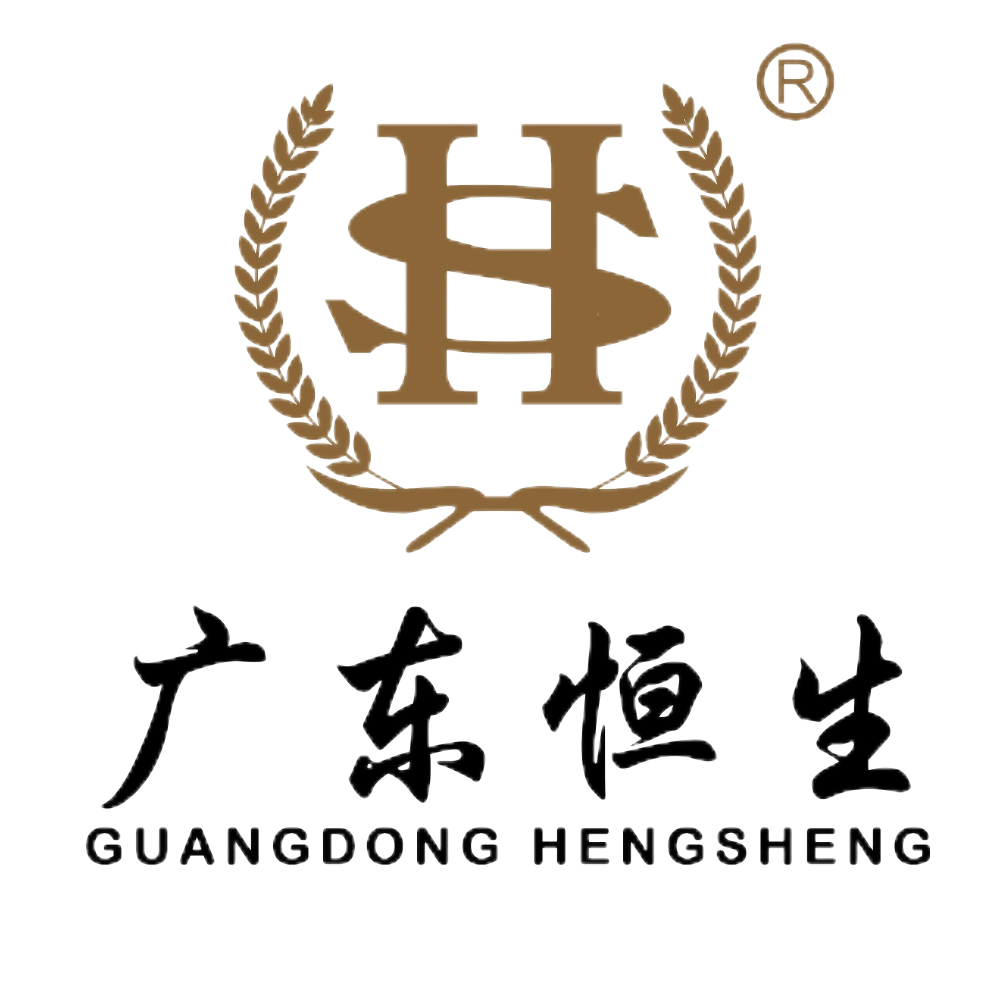 广东恒生会计师事务所有限公司